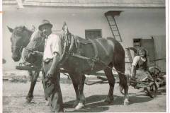 obstbau_plemenschits_altes_foto_mit_pferd