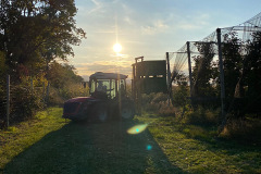 obstbau_plemenschits_sonnenuntergang_2