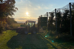 obstbau_plemenschits_sonnenuntergang_3