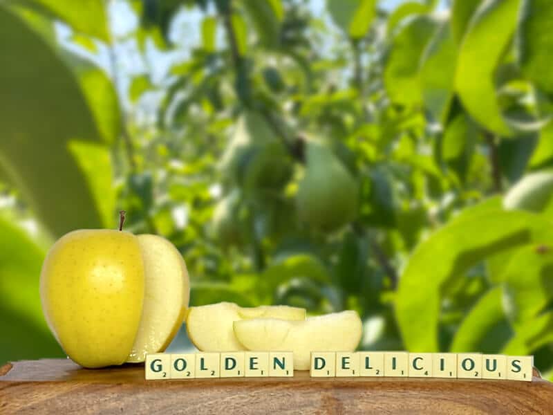 Golden Delicious